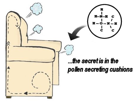 [ ...the secret is in the pollen secreting cushions ]